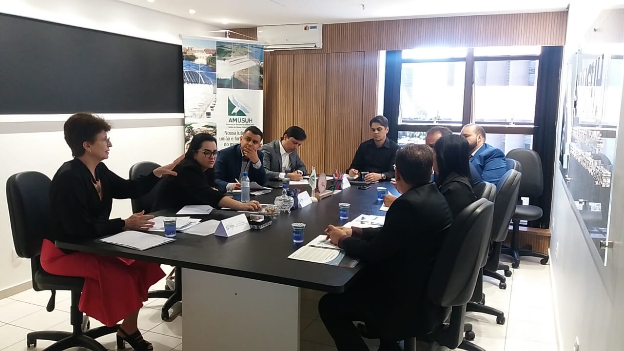 AMUSUH recebe comitiva de São Simão e participa de reunião com liderança do PSB no Senado 1