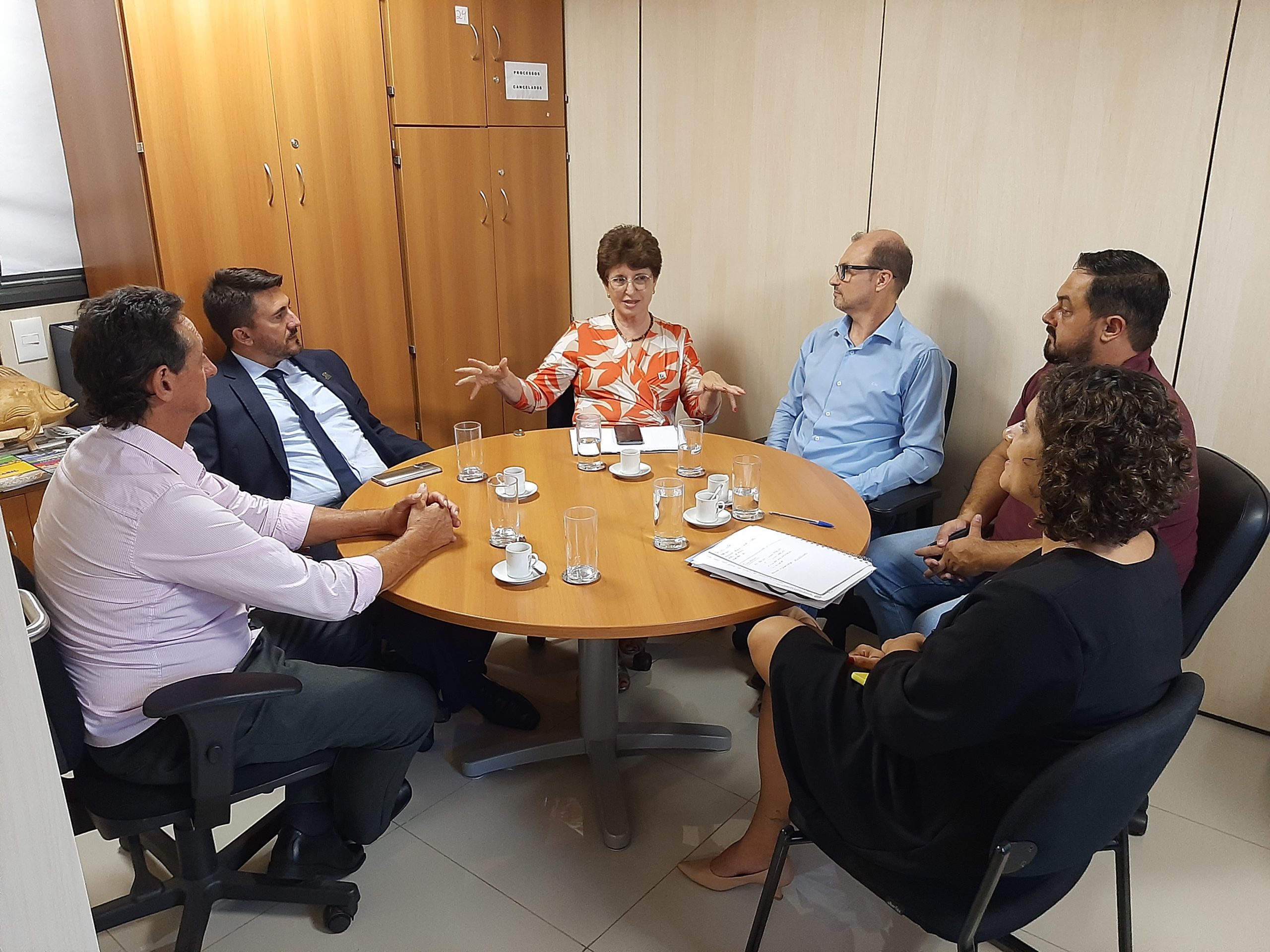 Reunião entre AMUSUH e MPA esclarece autoridades municipais 3