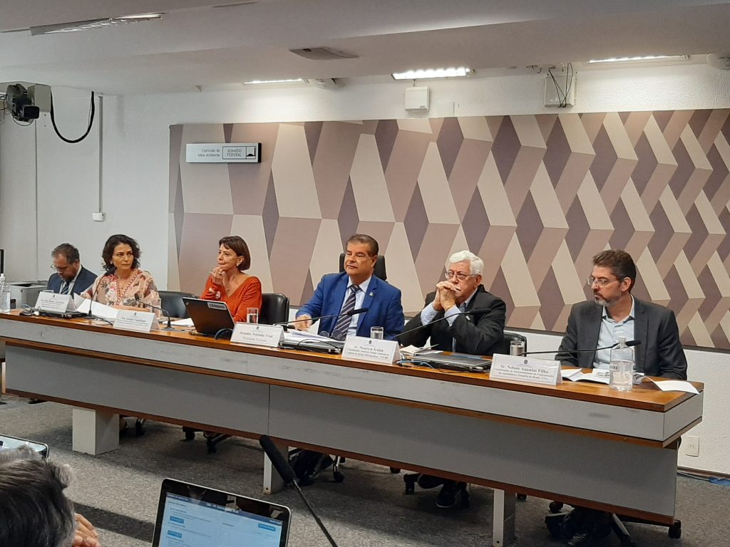 Segunda audiência pública sobre o trâmite do PL 2918 no Senado 22