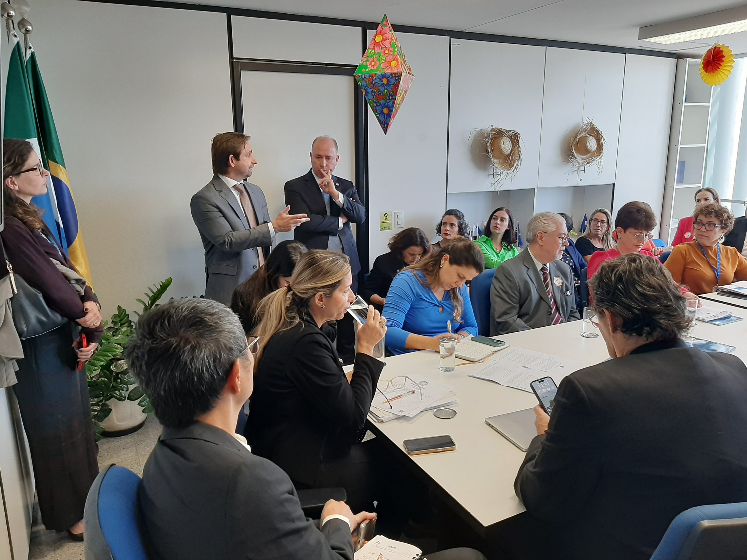 Primeira reunião do GT sobre substitutivo ao PL 2918 termina sem consenso 6