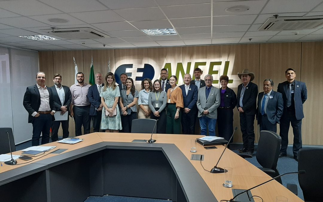 AMUSUH se reúne com nova equipe da ANEEL