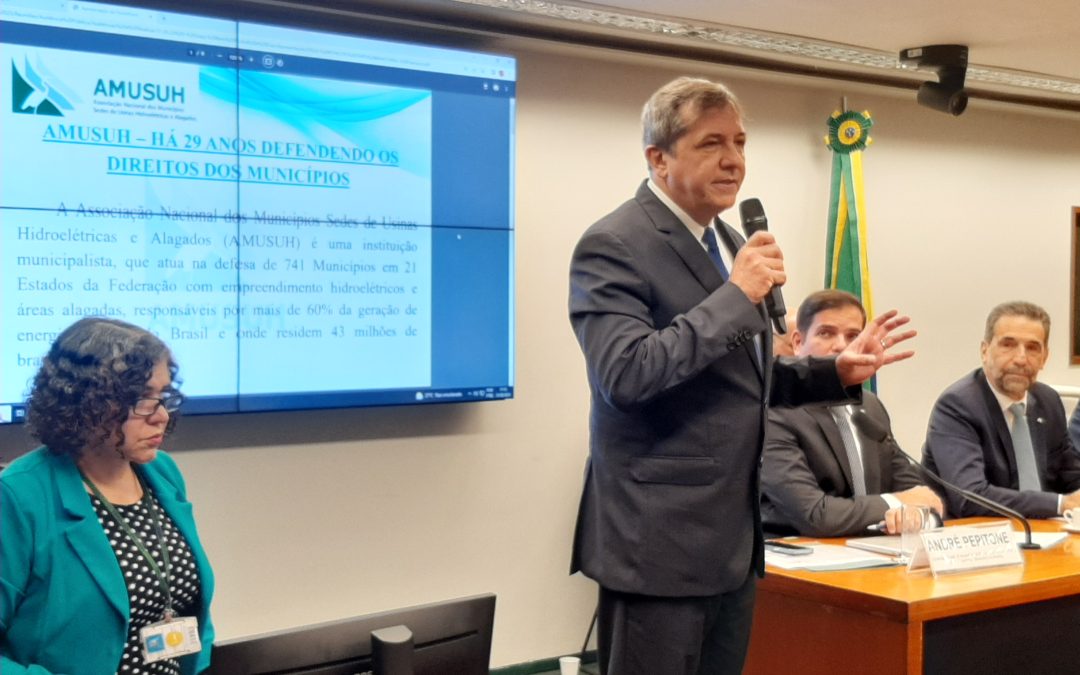 AMUSUH participa de audiência pública sobre o Anexo C do Tratado de Itaipu