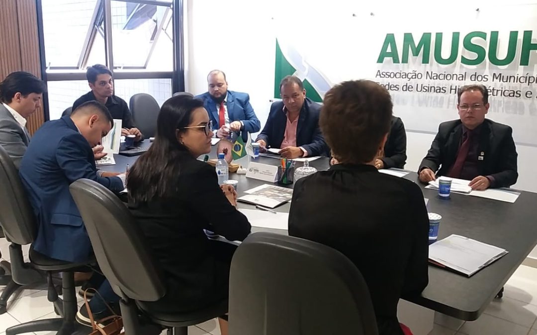 AMUSUH recebe comitiva de São Simão e participa de reunião com liderança do PSB no Senado