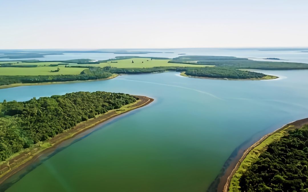 Senado Paraguaio Aprova Produção de Tilápia no Lago de Itaipu: Um Marco para a Aquicultura Binacional
